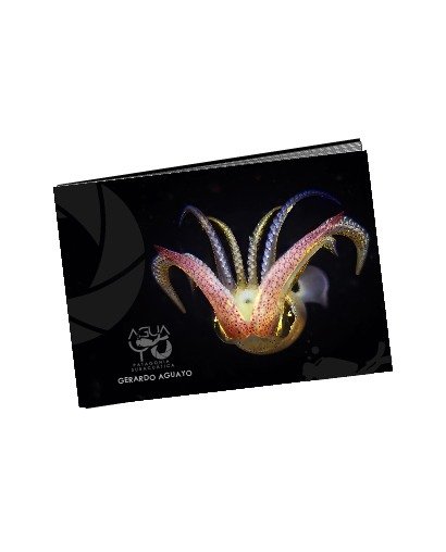 Producto - LIBRO FOTOGRAFICO