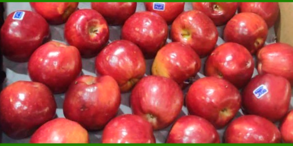 Producto - Manzana roja Red Delicious Orgánica de E. Costanzi