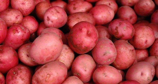Producto - Papa Colorada Orgánica