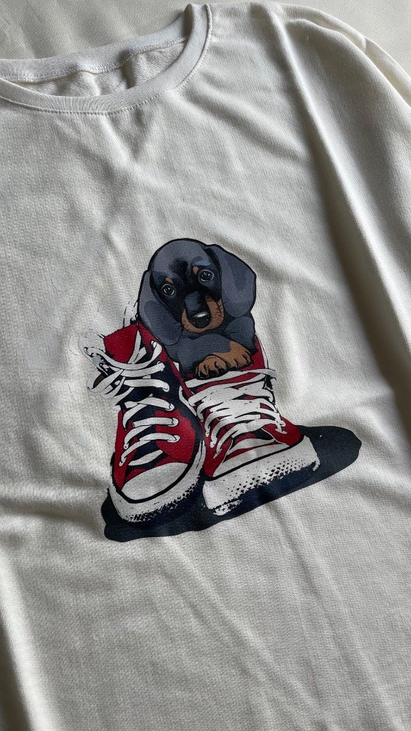 Producto - BUZO ALGODÓN RÚSTICO (varias estampas) - 13
