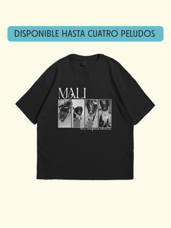 Producto - Mi compañía favorita