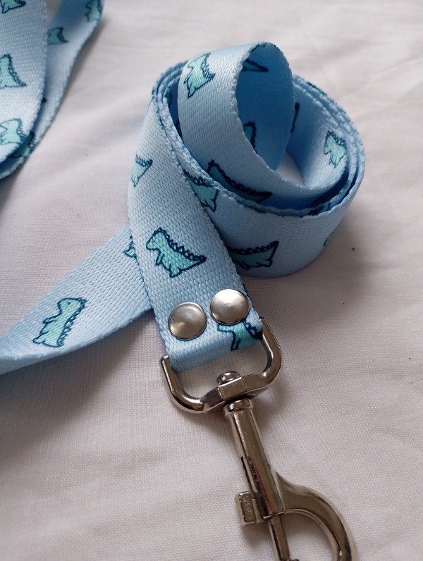 Producto - Correa Dino Baby Blue - 1