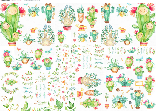 Producto - SUC 5
