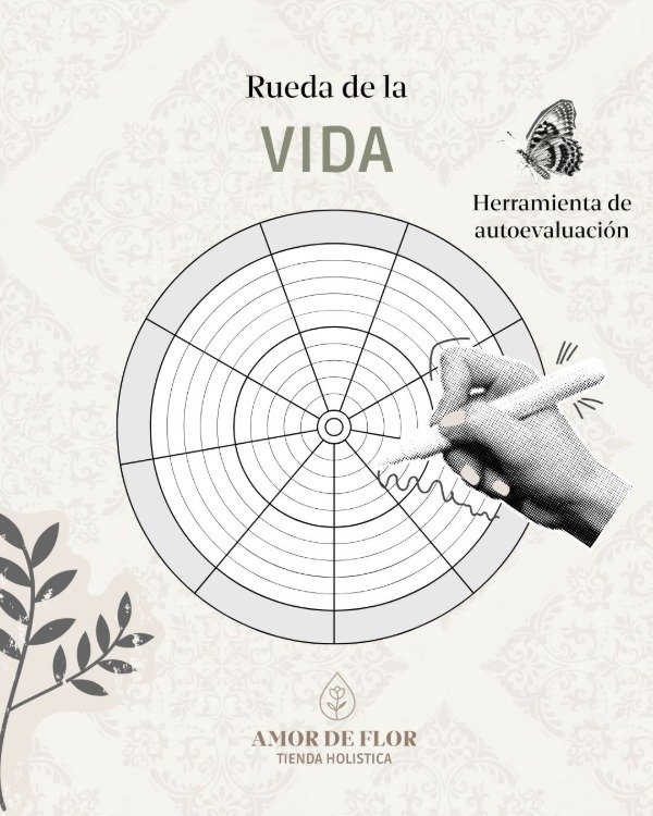 Producto - Rueda de la vida