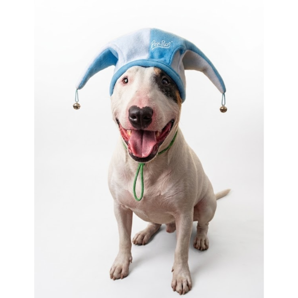 Producto - Gorro Seleccion Per-ros