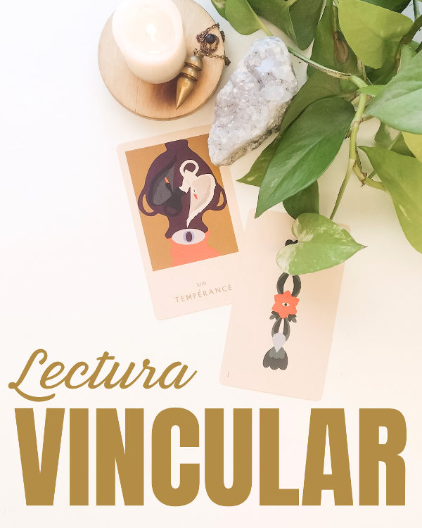 Producto - LECTURA DE VÍNCULOS EXTENDIDA