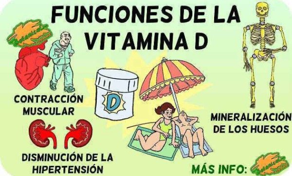 Producto - VITAMINA D3 100000 UI POWER (COLECALCIFEROL)  -Polvo10 grms- - 1
