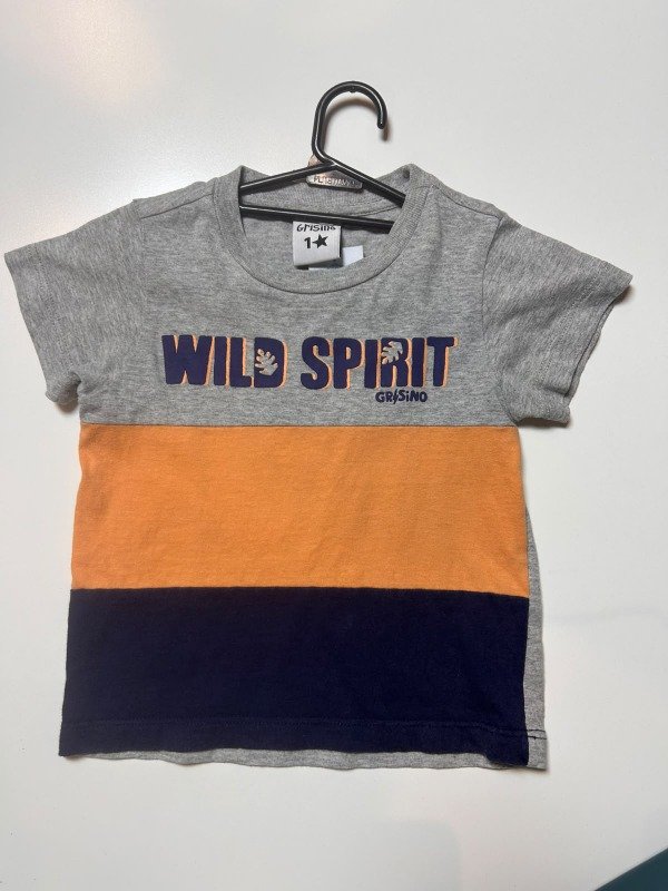 Producto - Remera tricolor Wild Spirit 12 Meses Grisino - 1