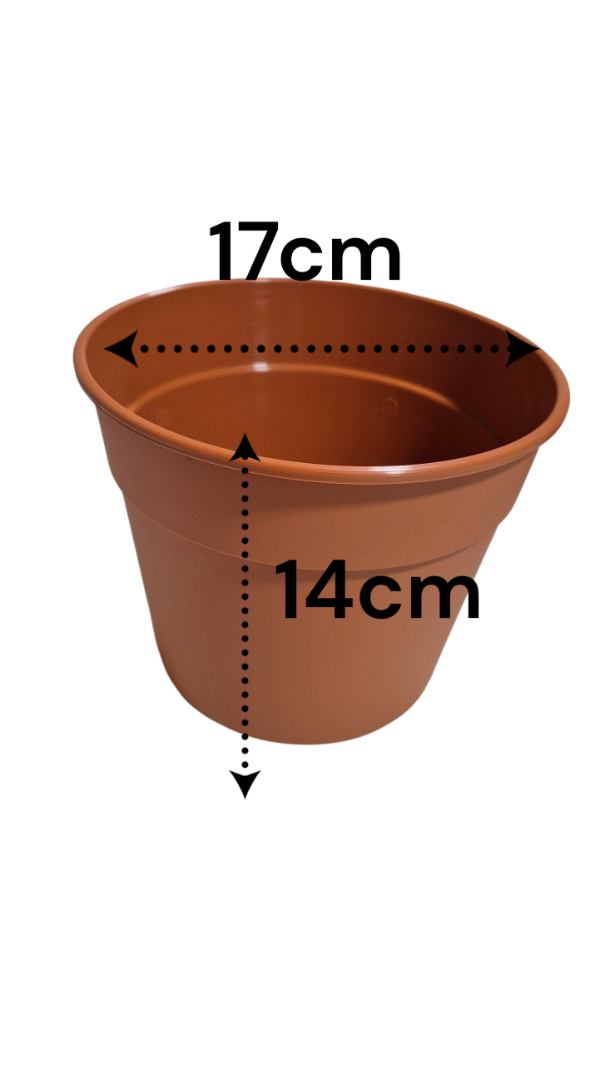 Producto - Maceta Plastic N17