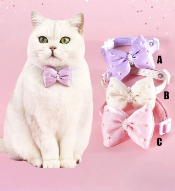 Producto - Collar para gato de moño con perlitas. Elegi color.