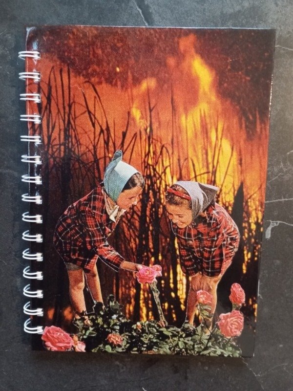 Miniatura de producto - 14
