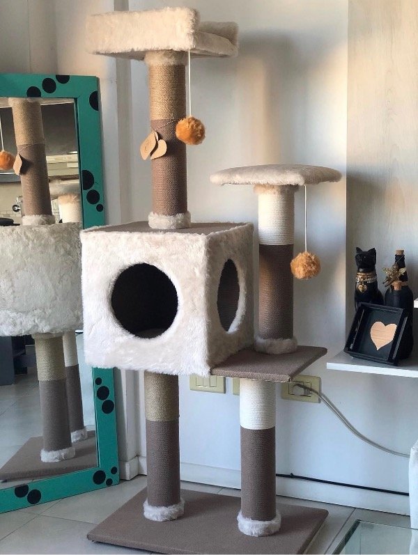 Producto - Árbol Guarida con Nivel y Moisés