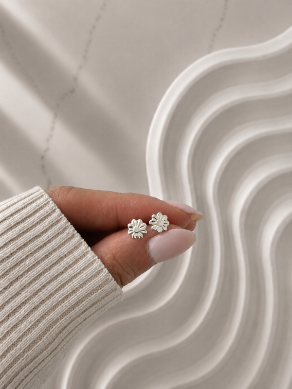 Producto - ABRIDORES DE PLATA 1536