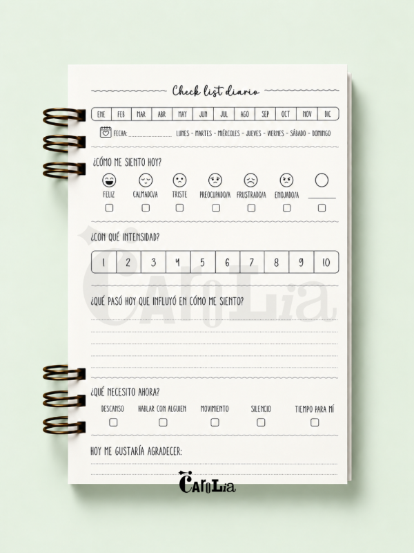 Producto - Journal Emocional - 6