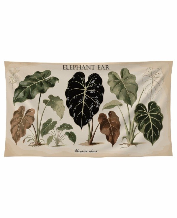 Producto - Tapiz Elephant Ear