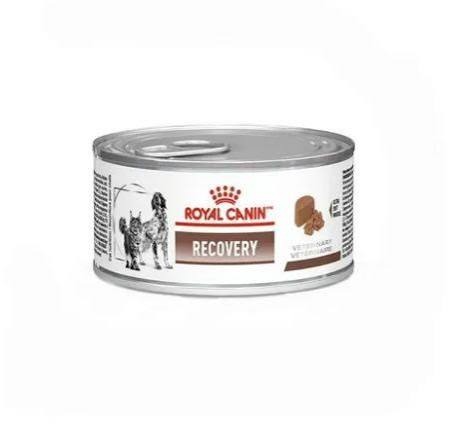 Producto - ROYAL CANIN CAT WET Recovery x195g