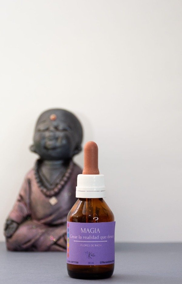 Producto - MAGIA- Crear la realidad que deseo -