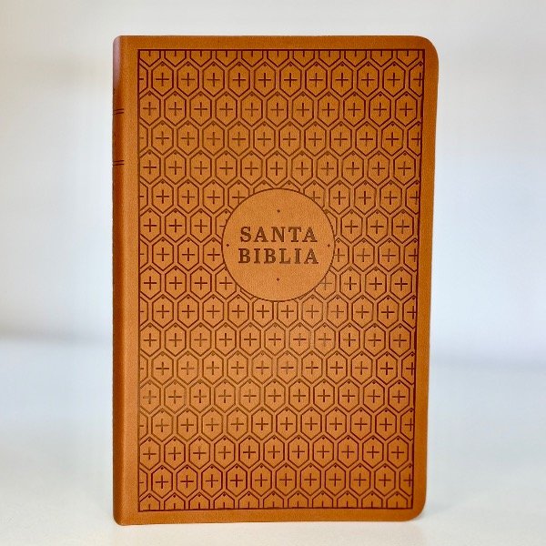 Producto - BIBLIA NTV - MARRON - TAPA SIMIL CUERO