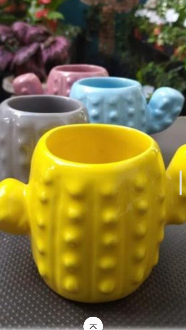 Producto - Molde de yeso de maceta de cactus