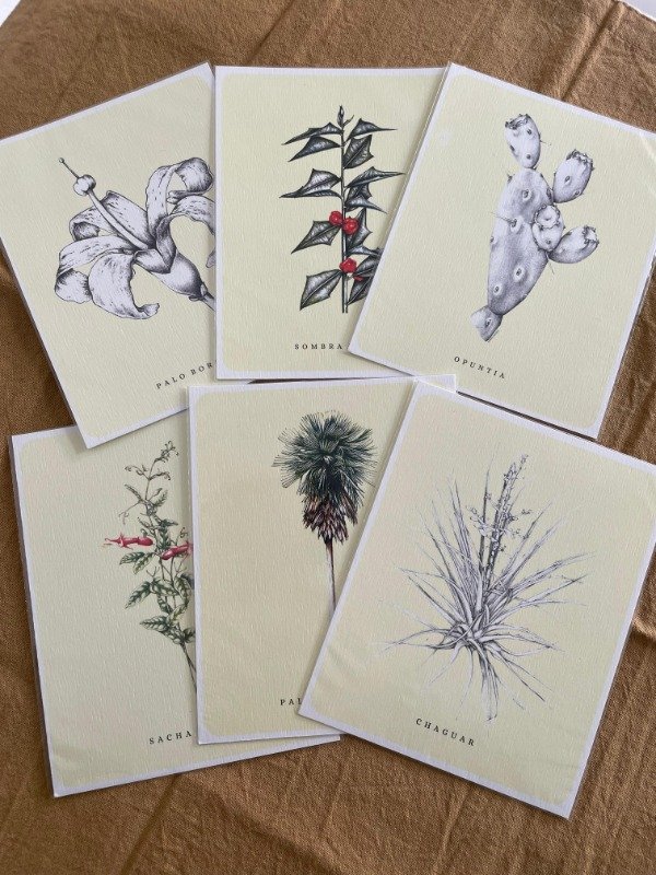 Producto - Postales Chicas 13x10 - Arte Botánico