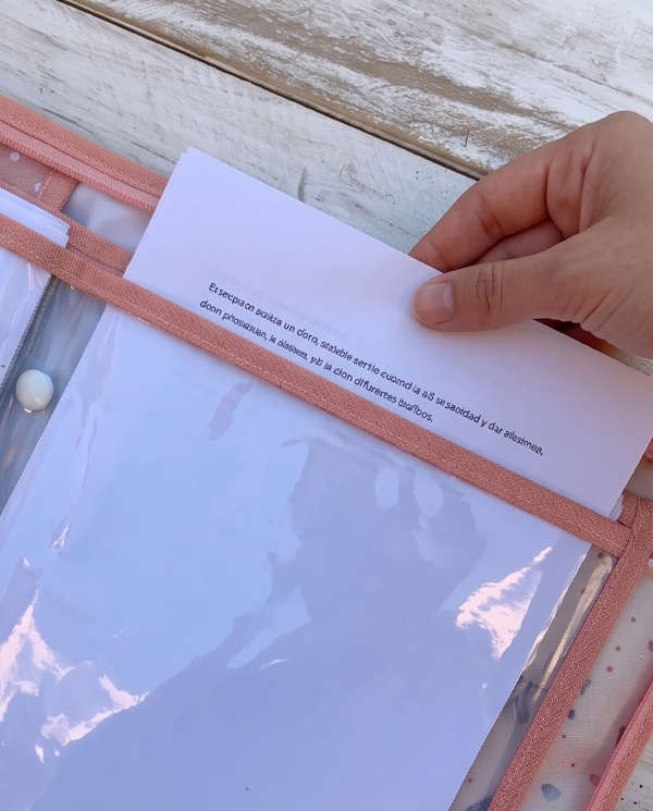 Producto - Organizador A4 - 5