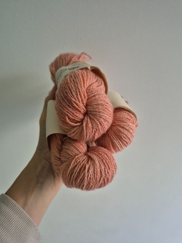 Producto - Asters 50 grs.