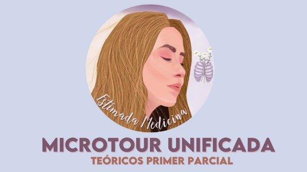 Producto - RESUMEN DIGITAL TEÓRICOS 1P MICRO UNIFICADA