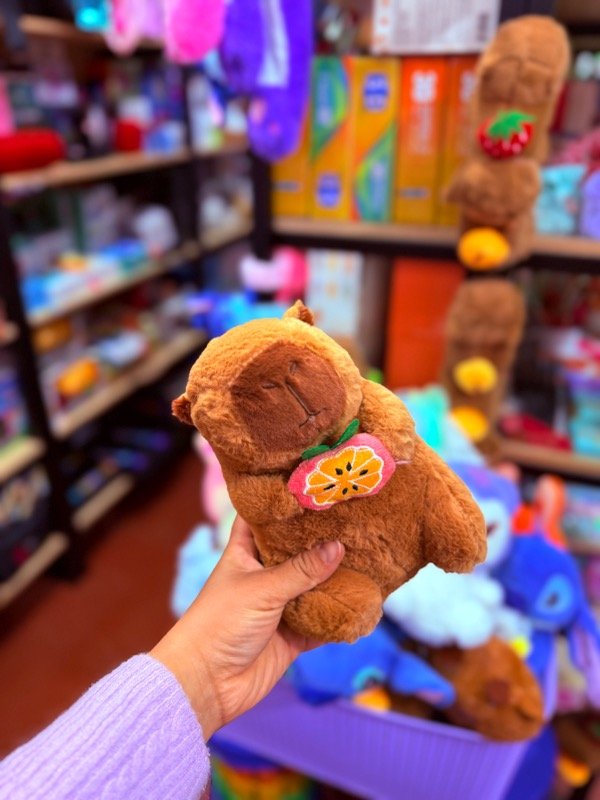 Producto - Peluche Capybara con fruta