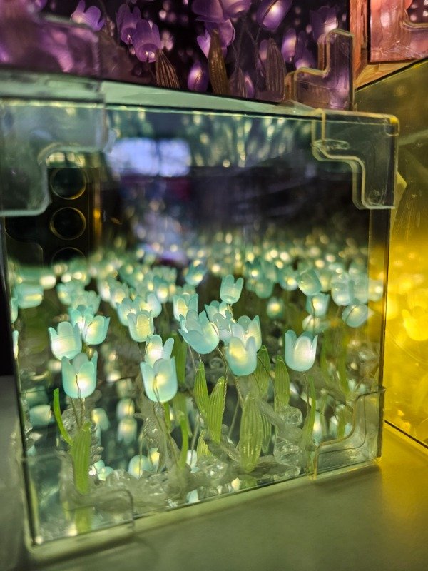 Producto - Cubo de tulipanes