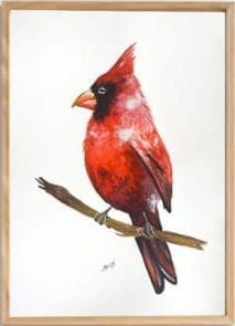 Producto - Aves Nro 1