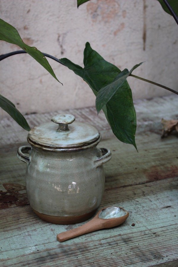 Producto - Frasco Hongo con Cuchara - 0