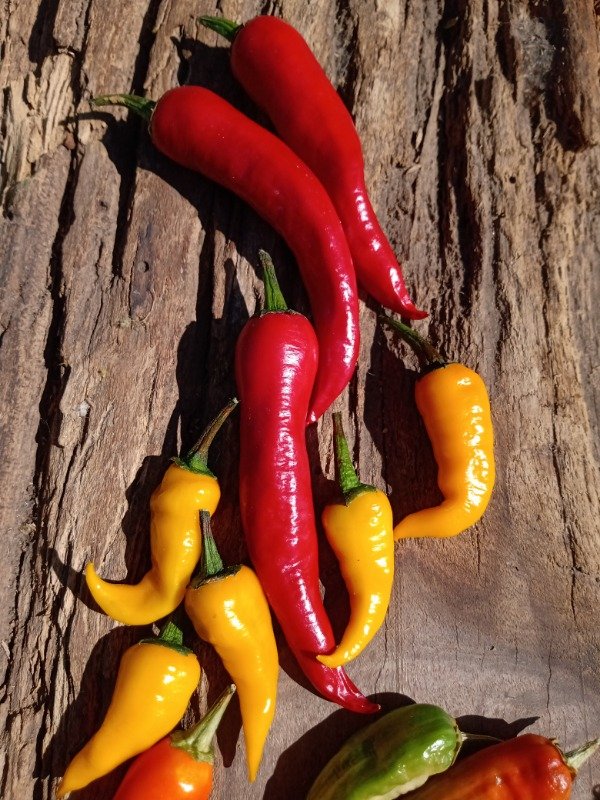 Producto - Pimienta de cayena roja