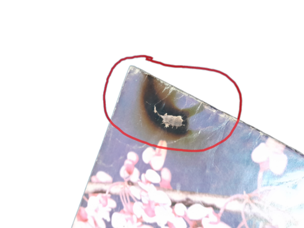 Miniatura de producto - 9