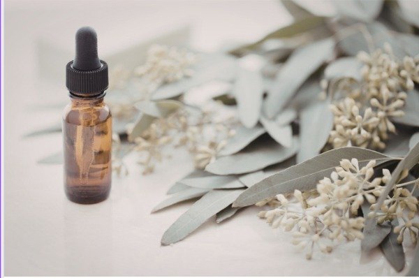 Producto - Aceite esencial eucalipto