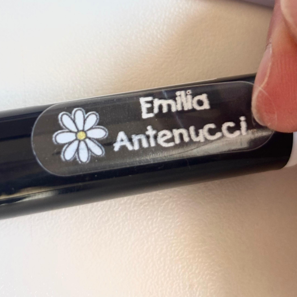 Producto - Pack Esencial Vinílicas Transparentes