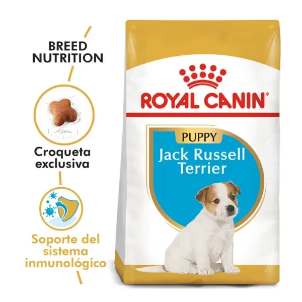 Producto - Alimento Royal Canin Perro Cachorro Jack Russell - 3Kg - 1