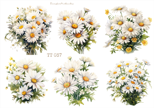Producto - TT 037