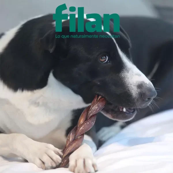 Producto - Mega trenza de esófago vacuno Filan - 0