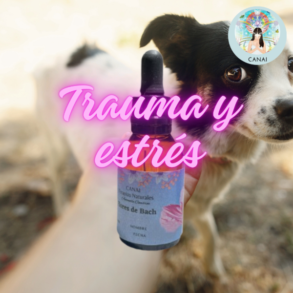 Producto - Fórmula TRAUMA Y ESTRÉS Animales