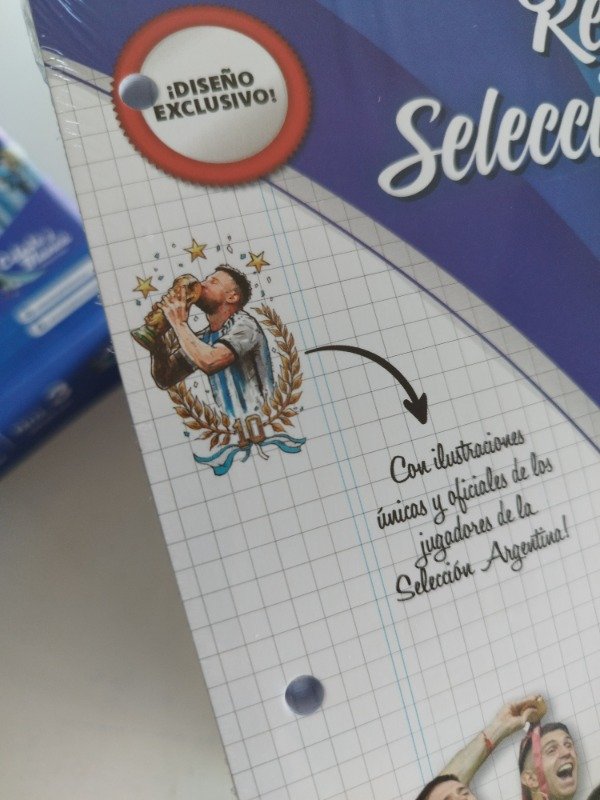 Producto - Repuesto de hojas selección argentina x480hojas cuadriculadas