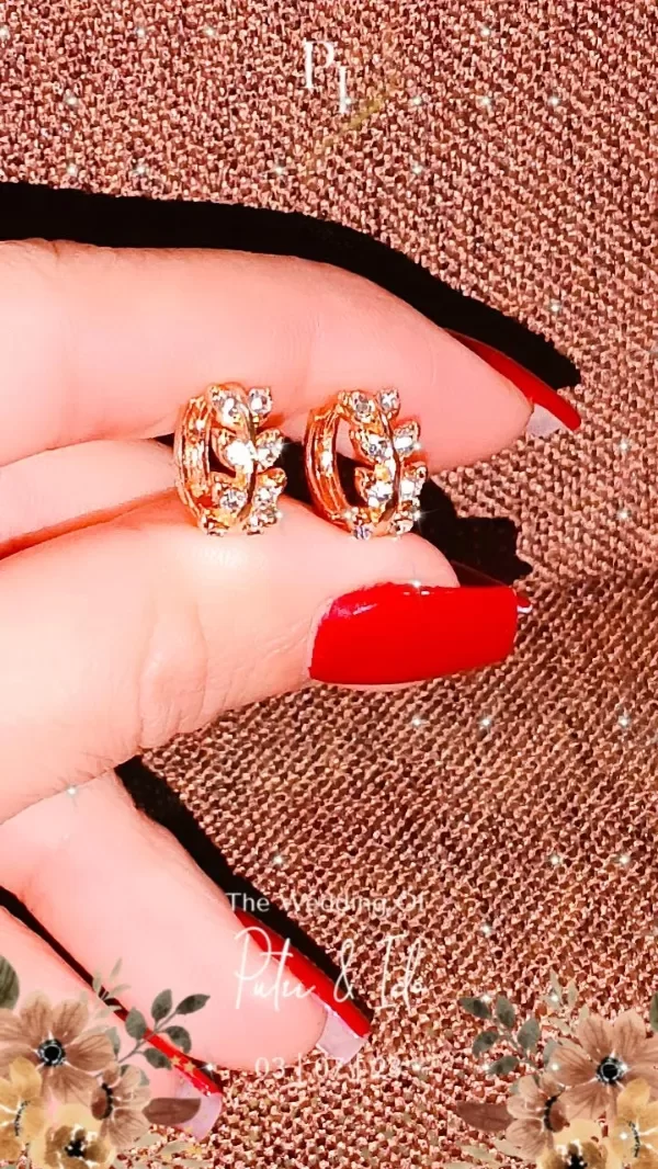 Producto - Aros laurel