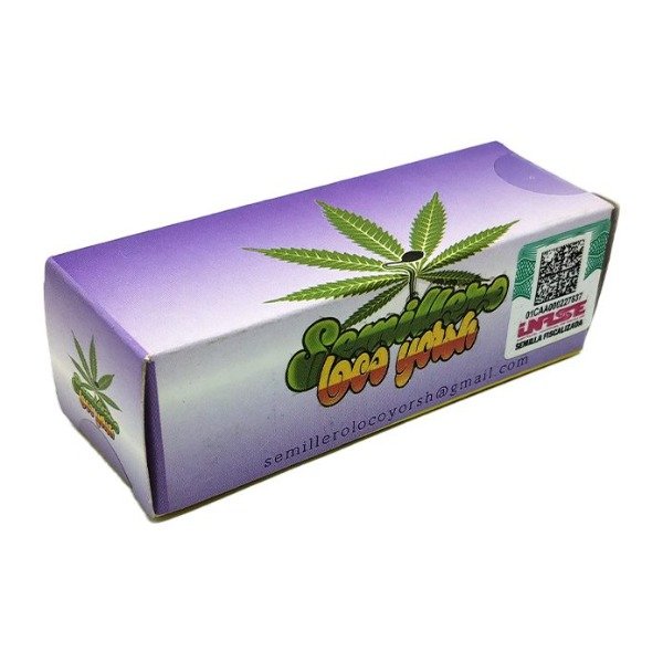 Producto - Batekú Critical x Loco Yorsh Fotoperiódica x6