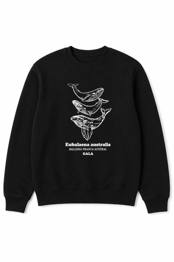 Producto - BUZO - BALLENA  (CUELLO REDONDO)