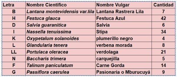 Producto - Pijama Muscu Celeste