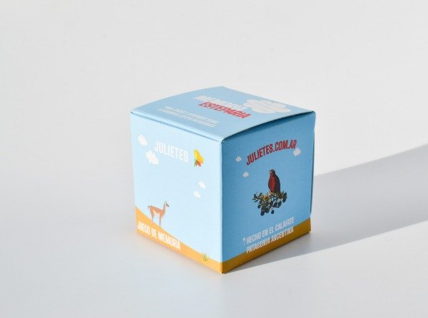 Producto - Memoria esteparia