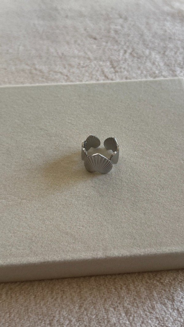 Producto - Anillo Roma Silver - 1