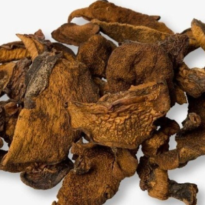 Producto - Hongos de Pino - BIOALMACEN