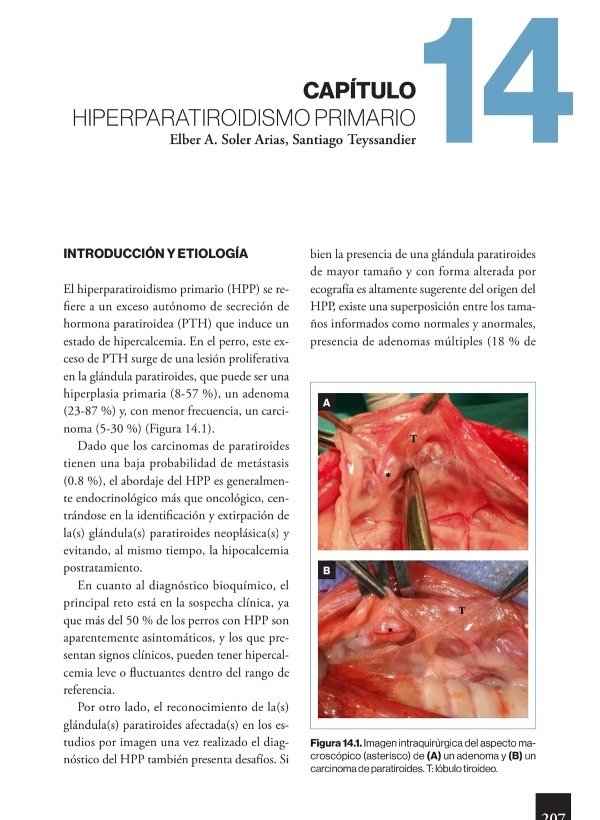 Producto - Teyssandier - Soler Arias: Manual Práctico de Endocrinología Clínica en el Perro - 2