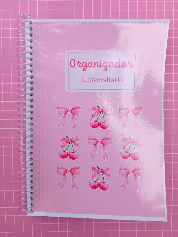 Producto - Organizador Universitario mini