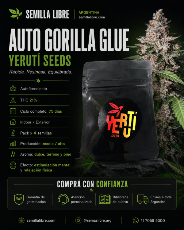 Producto - AUTO GORILLA GLUE - YERUTÍ SEEDS. Pack 4 semillas - 1
